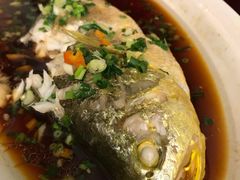 葱油东海大黄鱼-丰收日·小海鲜·沪上家宴(顾村正大店)