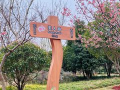 -顾村公园
