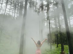 -洛阳白云山景区