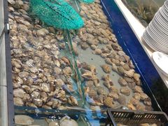 -海天盛宴新派海鲜自助餐厅(群力店)