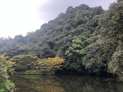 -东航云逸酒店(九溪烟树店)