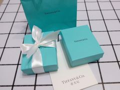 -Tiffany & Co.蒂芙尼
(天津万象城店)