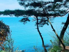 -海源公园