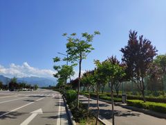 -洨河生态公园