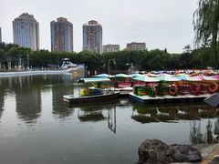 -团结湖公园