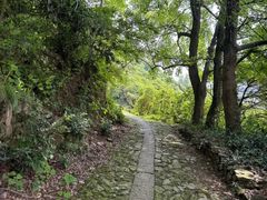 -大罗山风景区