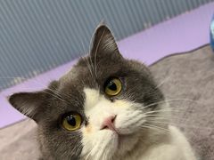 -1013 PET SHOP 宠物商店(近铁城市广场店)