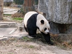 -宁波野生动物园