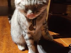 -H立方实景剧情密室(天河旗舰店)