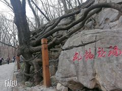-皇藏峪国家森林公园