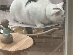 -三仟津花园咖啡馆