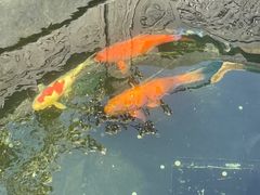 -西安市广仁寺