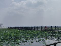 -重元寺香积厨素斋馆