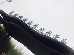 -黄海国家森林公园