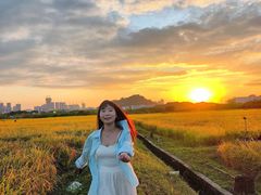 -光明小镇欢乐田园