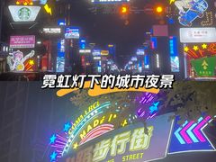 -映月湖中央公园