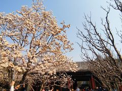 -颐和园