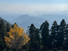 -莫干山风景区
