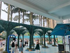 -海合安成都极地海洋公园