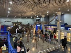 -国家自然博物馆