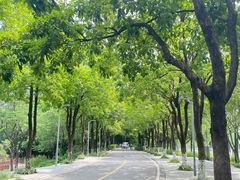 -广东花都湖国家湿地公园