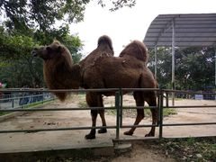 -广东茂名森林公园