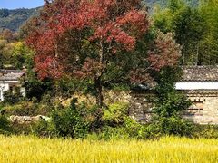 -塔川景区