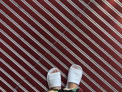 -澳门喜来登大酒店