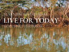 -北海金海湾红树林生态旅游区