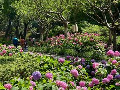 -常州古运河南大街文化旅游区-人民公园