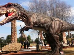 -南通洲际绿博园