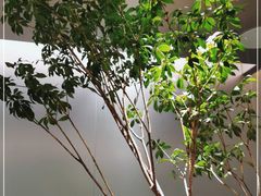 -THE RAVEN乌鸦咖啡(天利店)