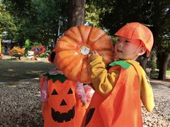 -HERRE·FARM 赫尔露营农场·团建聚会包场