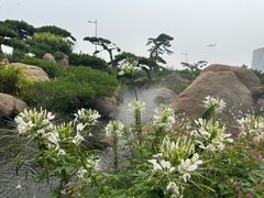 -罗红摄影艺术馆