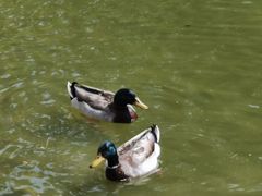 -香山公园-东宫门售票处