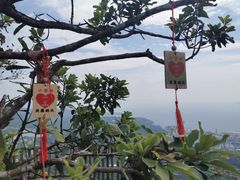 -东部华侨城