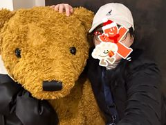 -济州岛泰迪熊博物馆