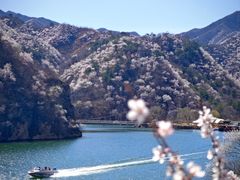-何适山庄·团餐住宿(水长城P2停车场店)