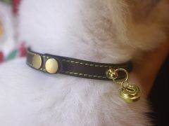 成品-零几体验diy皮具工作室(振业城店)