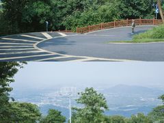 -黄埔油麻山森林公园