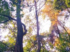 -西湖风景区-江洋畈生态公园