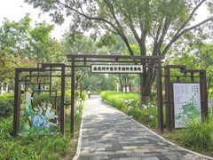 -绿堤公园