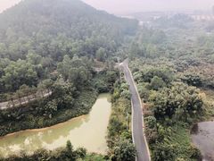 -美的鹭湖森林度假区