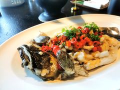 清蒸石斑鱼-茶油香闽南菜·花园餐厅(前埔店)