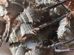 -有间冰室(侨港风情街店)