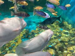 -海合安青岛极地海洋公园