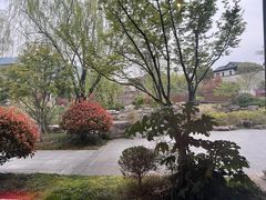 -春色如许·茶食餐厅(桃李春风店)