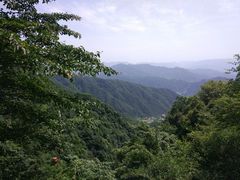 -王顺山国家森林公园