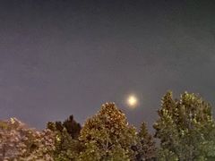 -保定会馆(秀兰店)