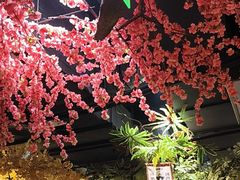 -城墙拐拐火锅(三峡广场黑金冠店)